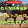 冬来たりなば春遠からじ　ホルトバージ　新たな芽吹きはすぐそこに